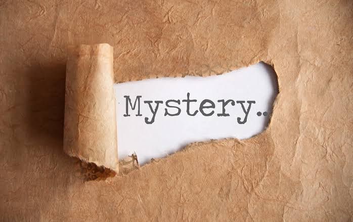 Bumper Sticker- Mystery 6 Pack